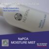 NUSKIN-NAPCA-MOISTURE-MIST-MODELO