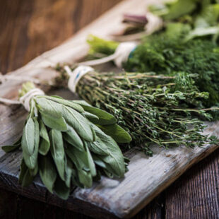 suplementos herbolarios con alcalinicéutica, herbolaria y trofología